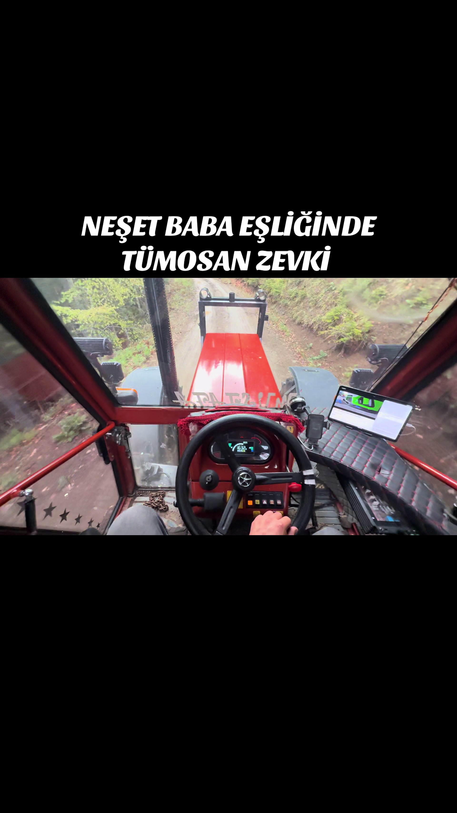 @MUSTAFA TOKMAK