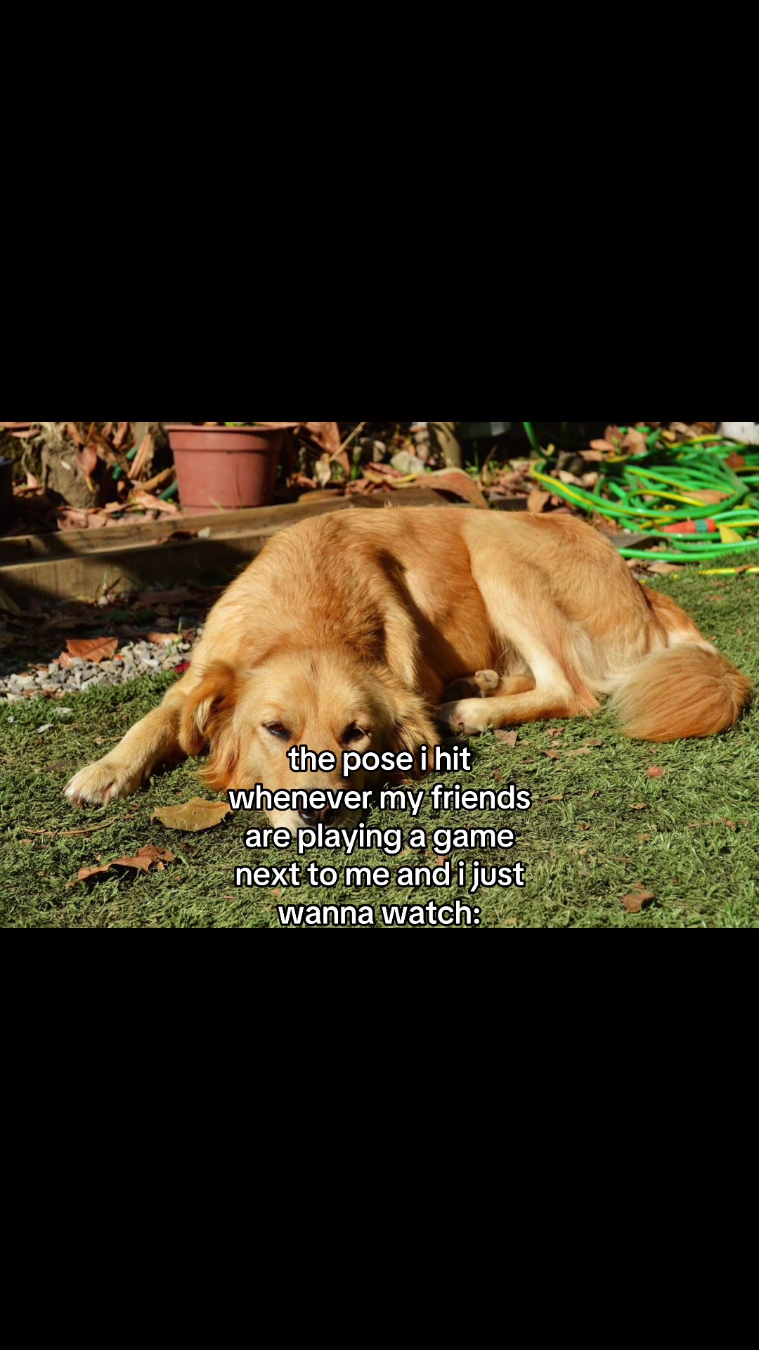 @♡ 𝒜𝓁𝓎 ♡