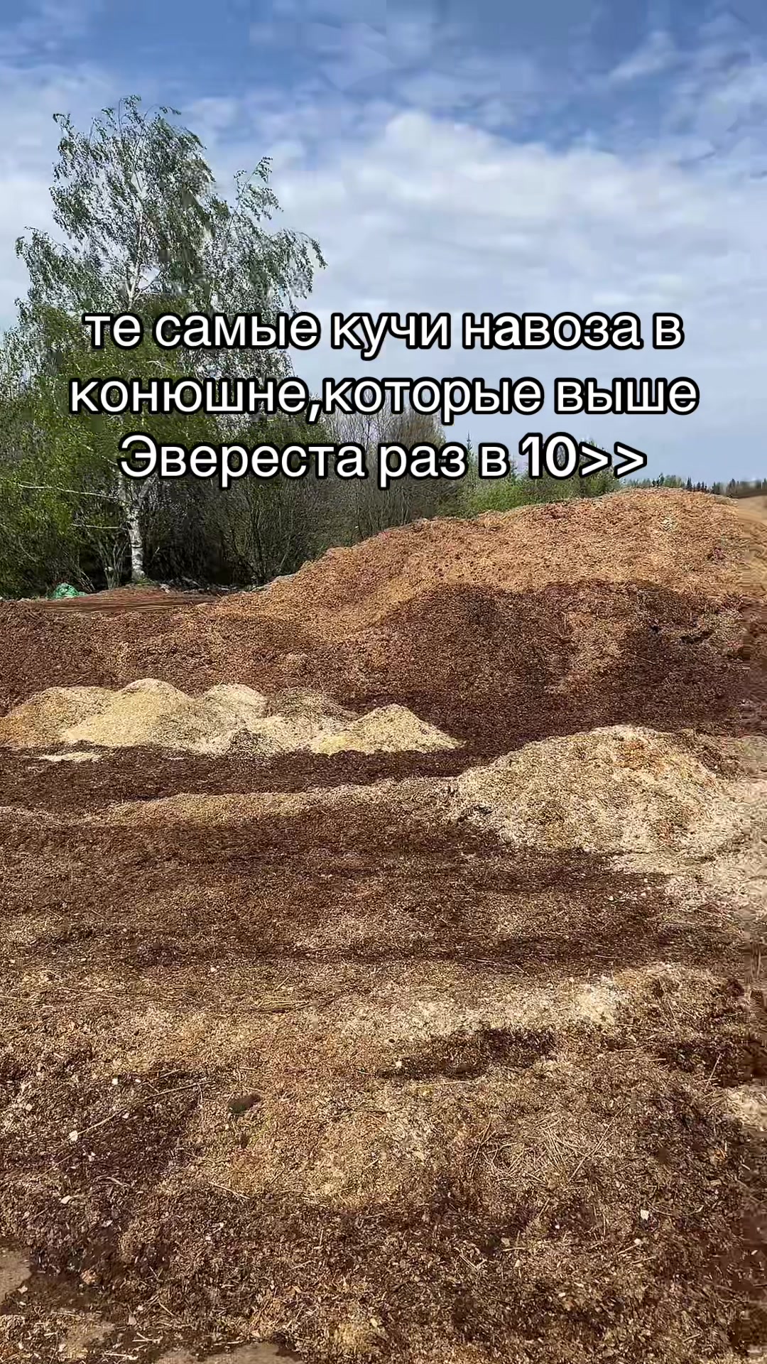 @Ли🐴
