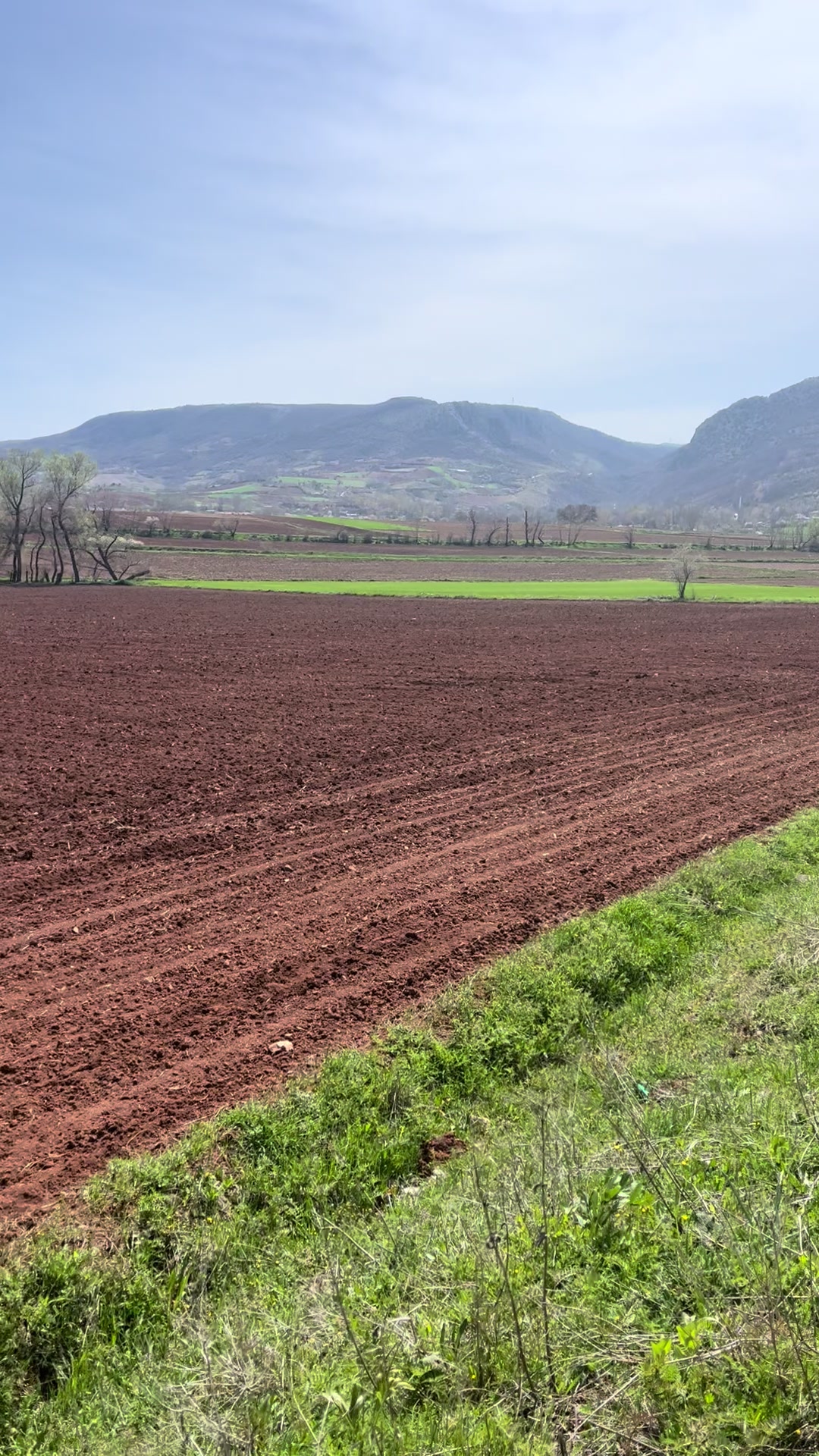@Sefa &Ouml;zk&ouml;se