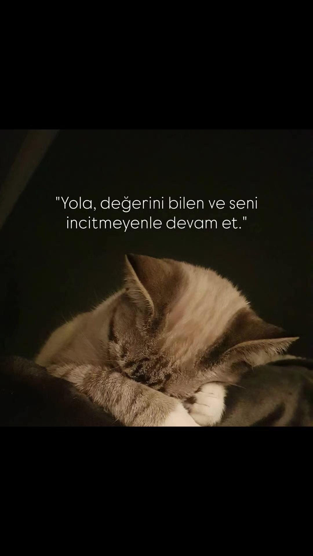 @🌈Ya Allah 🤲🥰