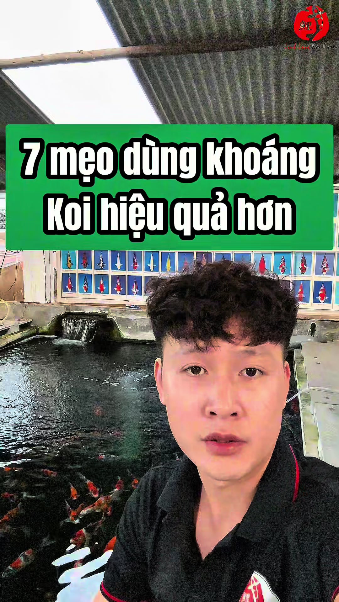@Linh Long Koi Farm