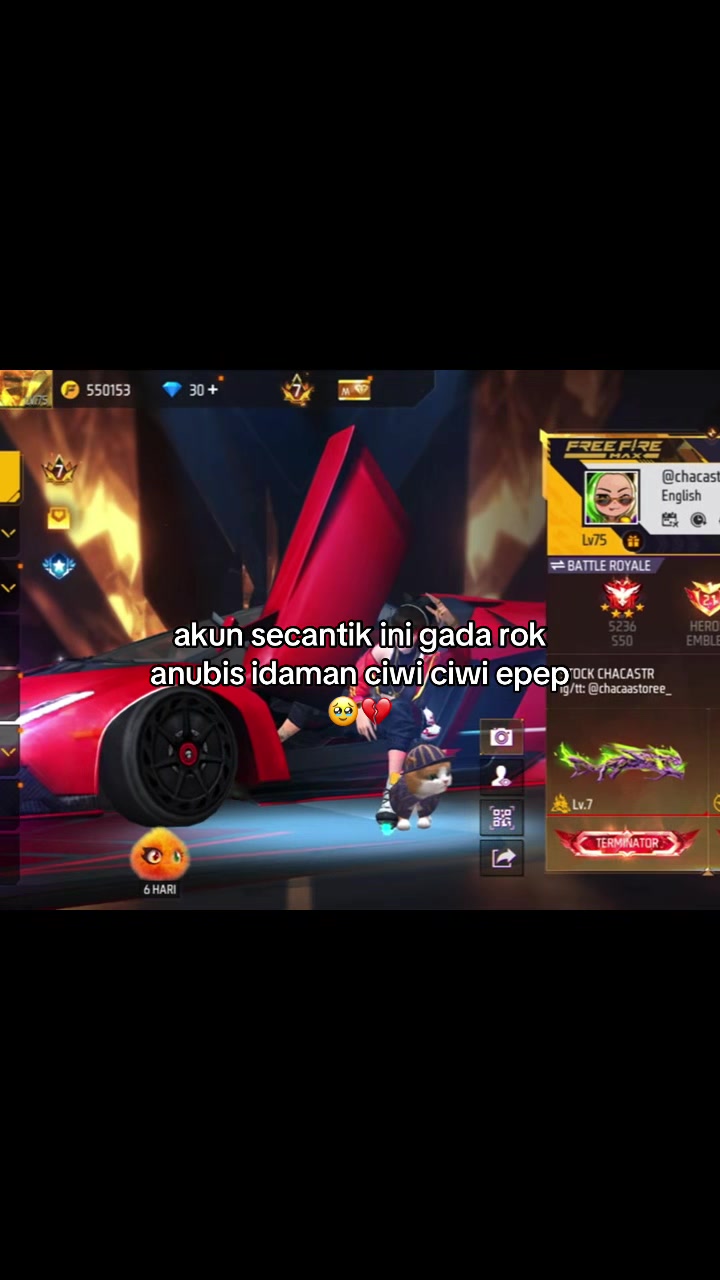 @chacastrjb2