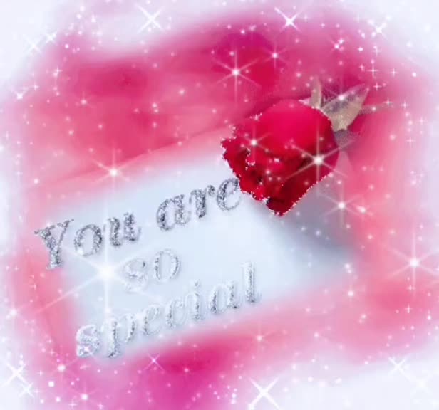 @❤️&zwj;🩹 Shohid - Murshida ❤️&zwj;🩹