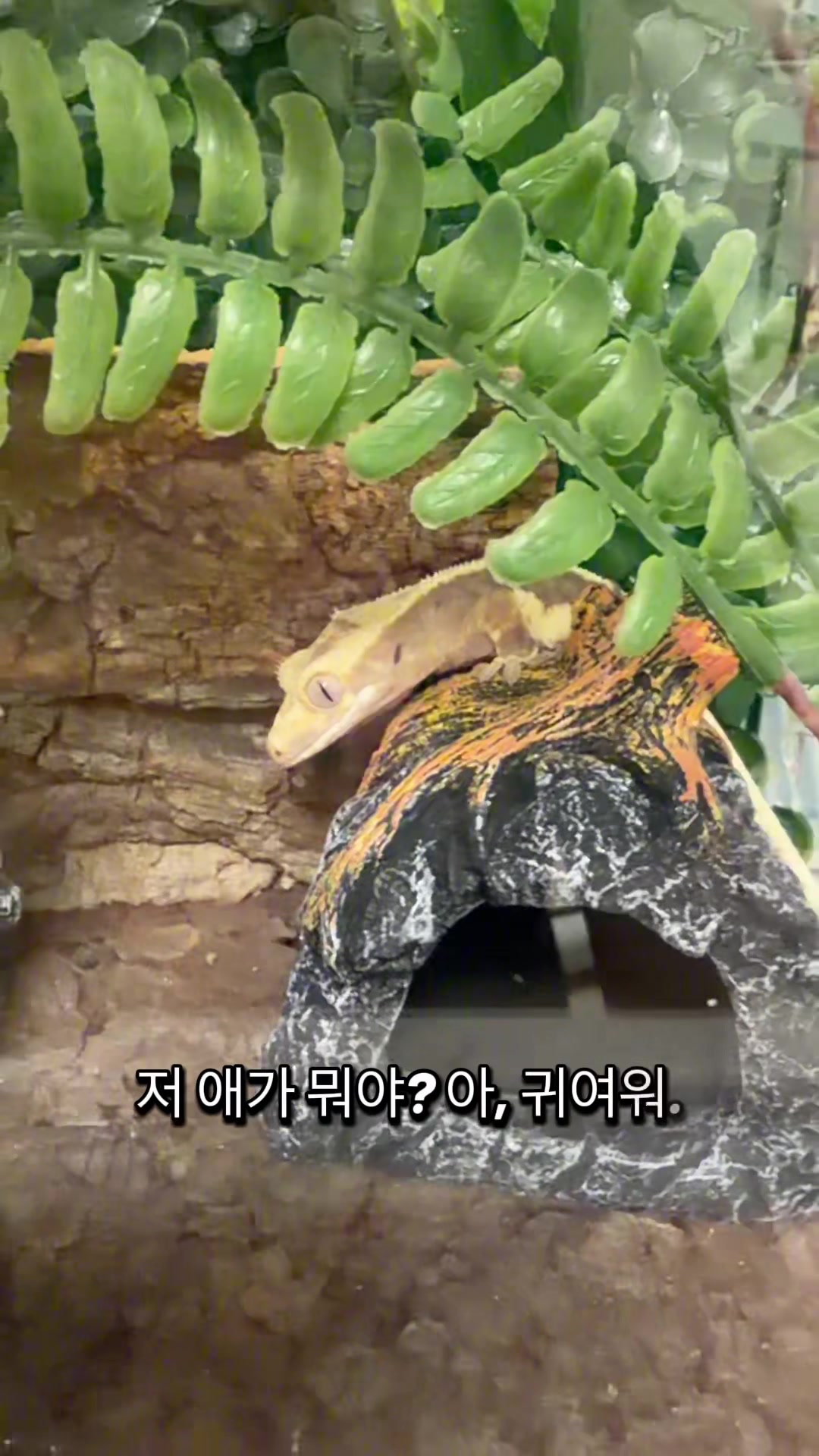 @문마니