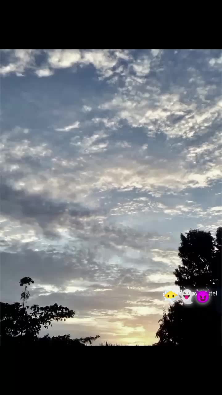 @😶🌫️alma 67 🇦🇷
