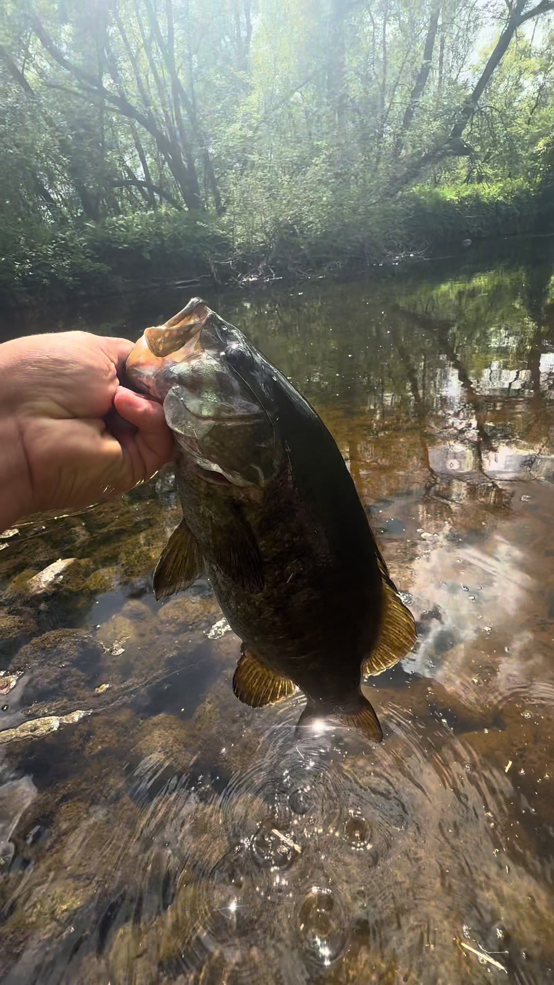 @218 fishing