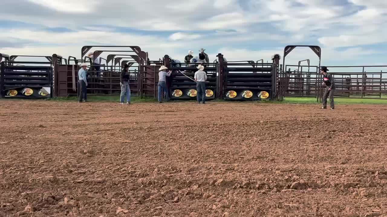 @B&G Bucking Bulls