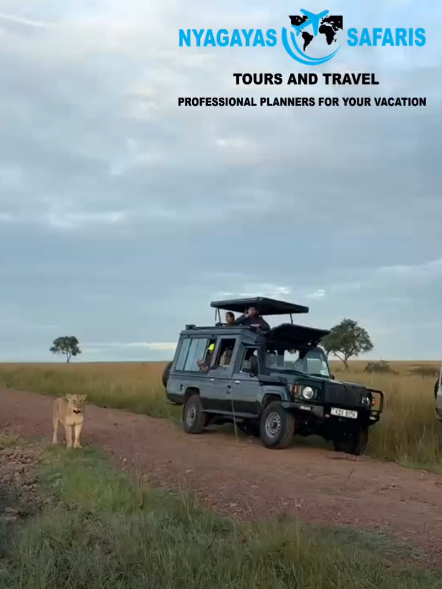 @Nyagayas Safaris 🤝