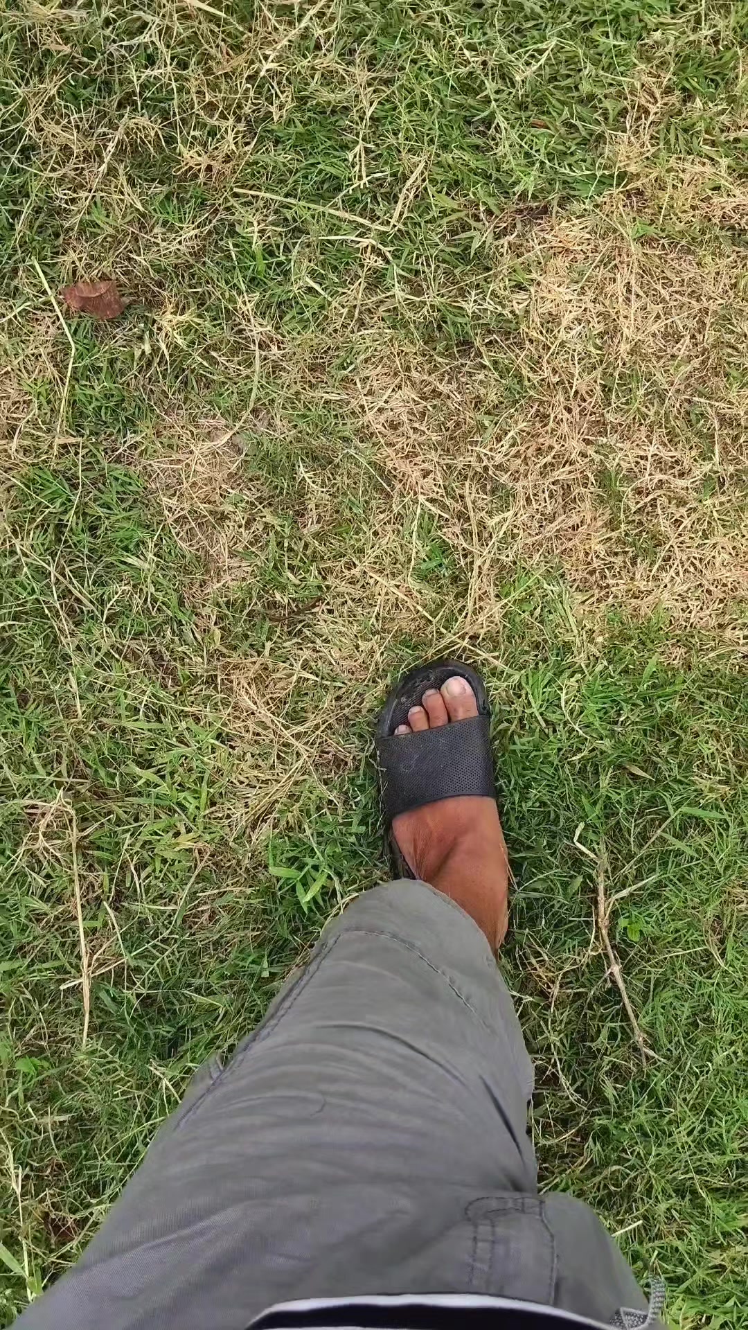 @suroyo88