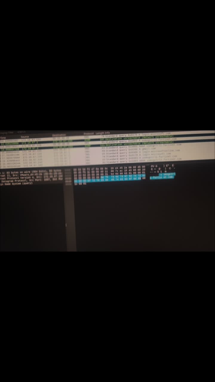 @NemeSys