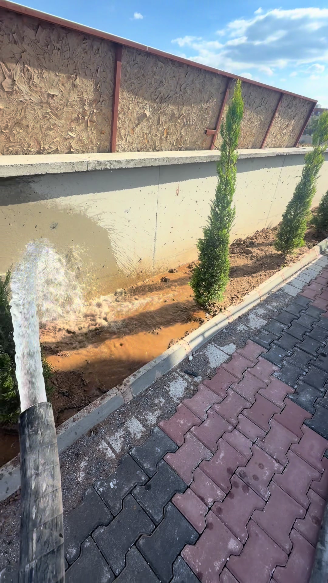 @Şeyhmus