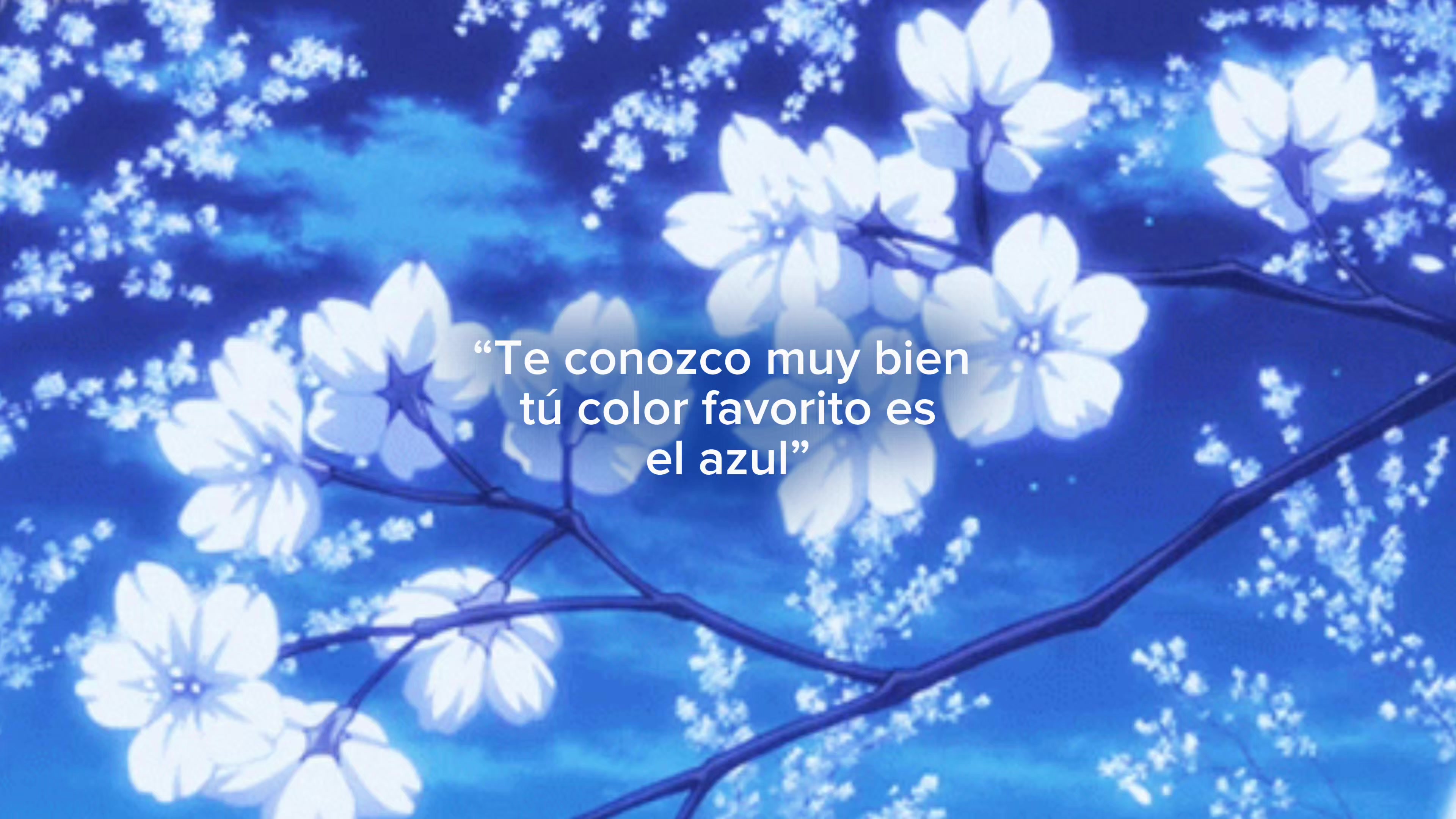 @𓂃˖˳·˖ ִֶָ ⋆🌷͙⋆ ִֶָ˖·˳˖𓂃 ִֶ