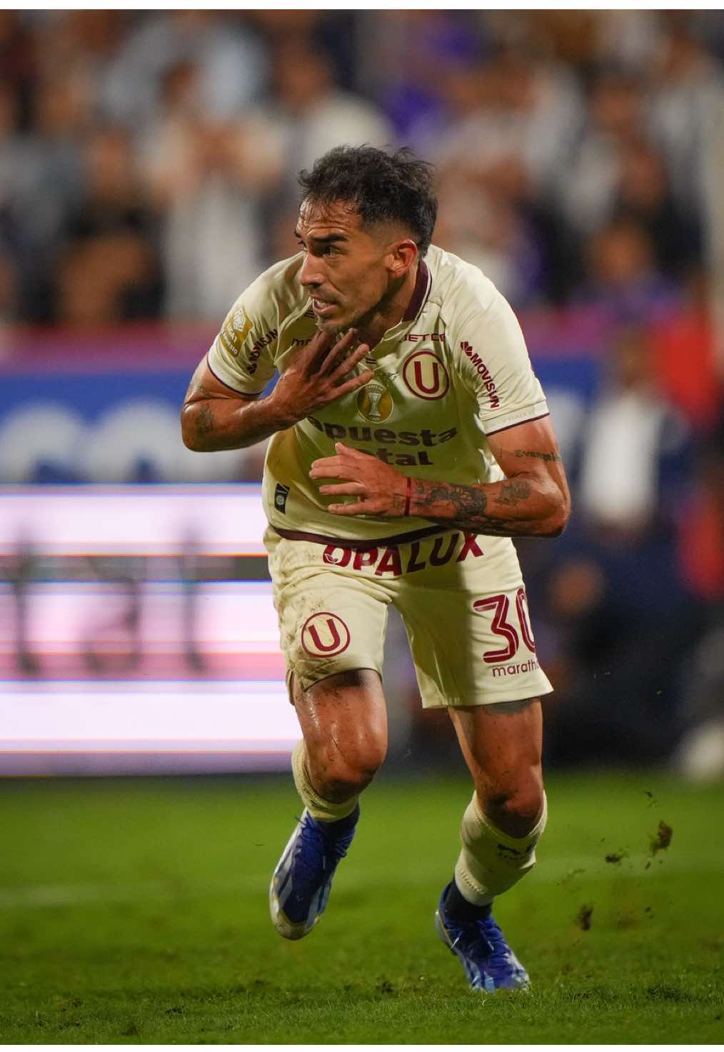 @Liga de F&uacute;tbol Profesional