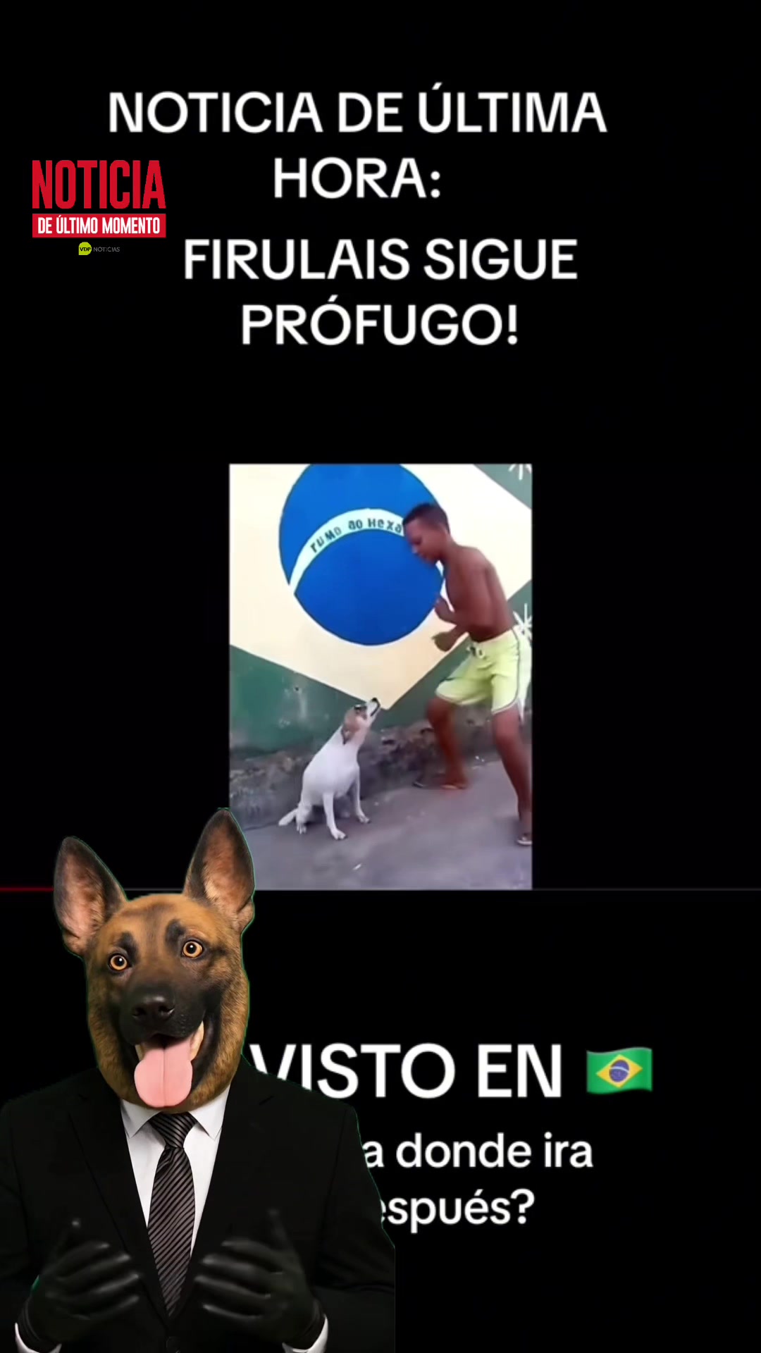 @FIRULAIS