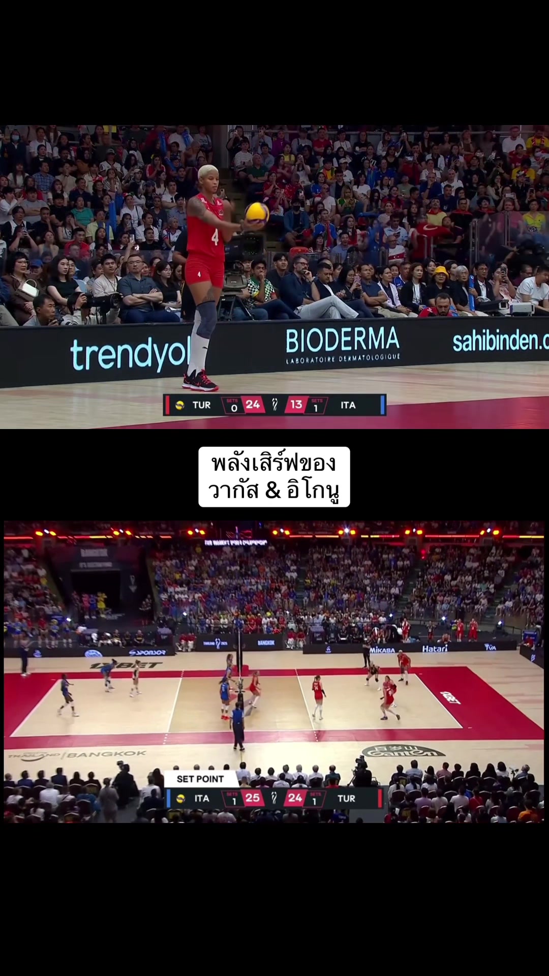 @ดาวลูกไก่12