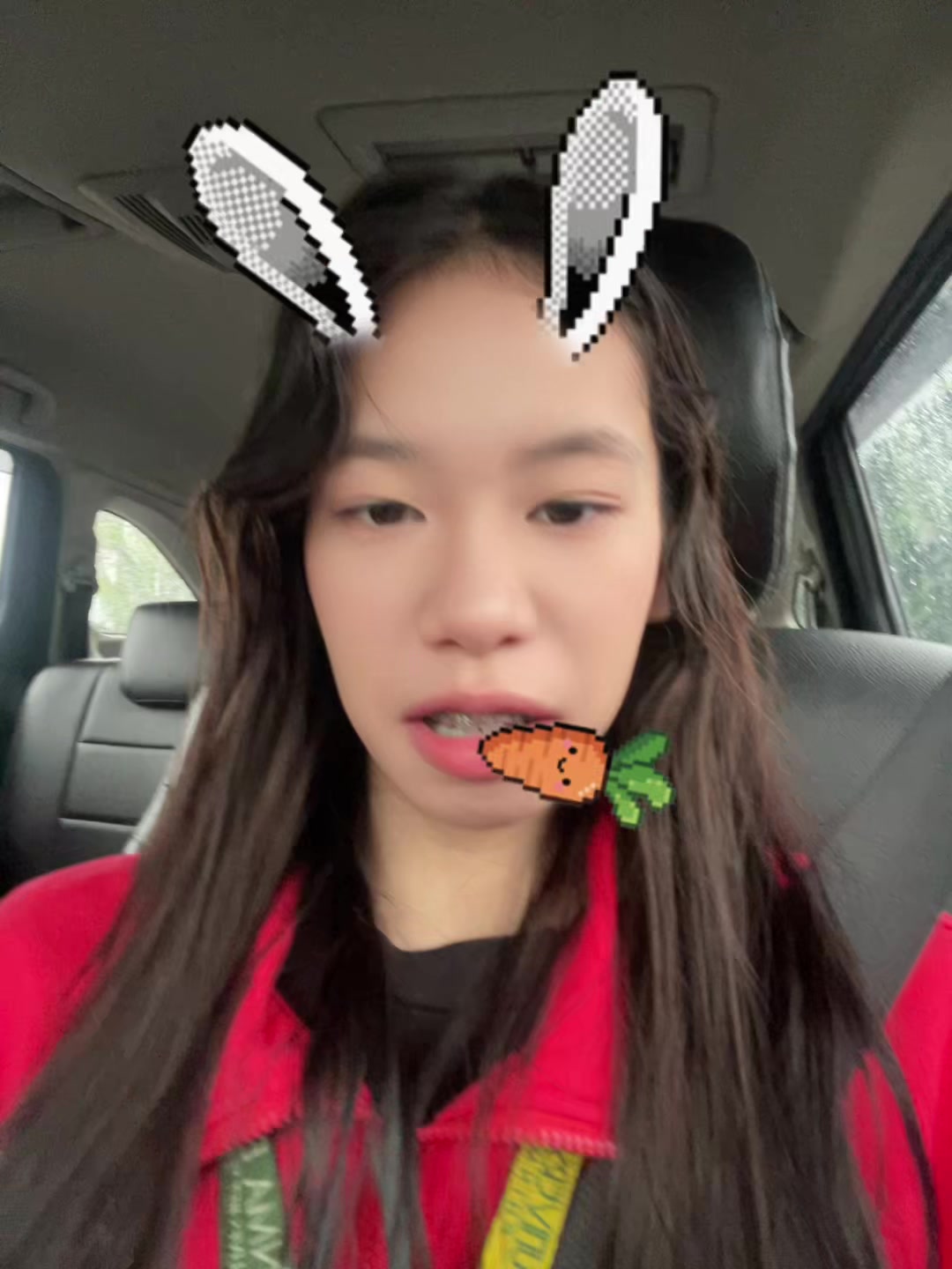 @🐯