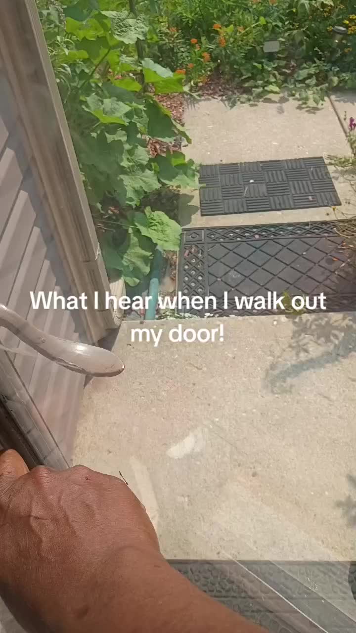@O.G.