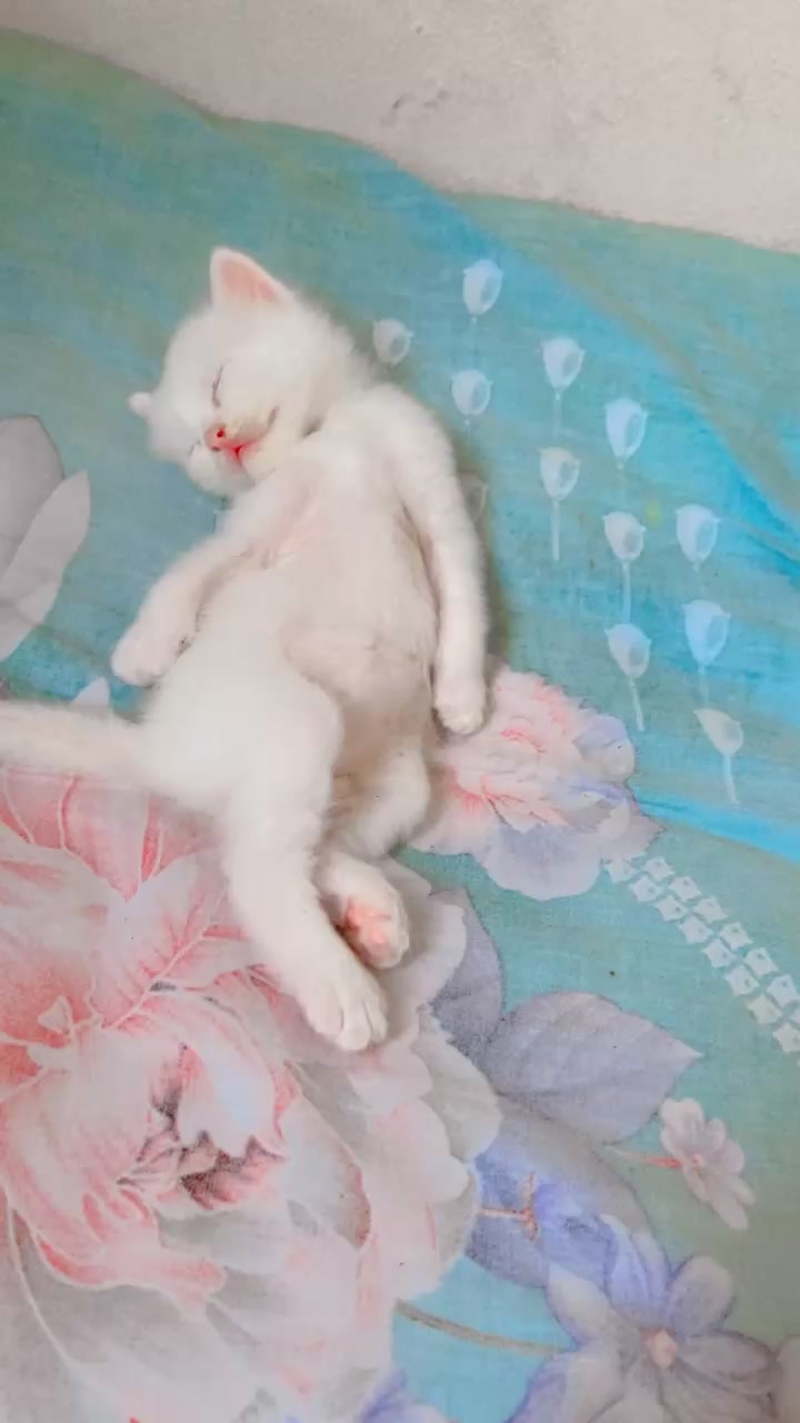 @🥰moni🥰