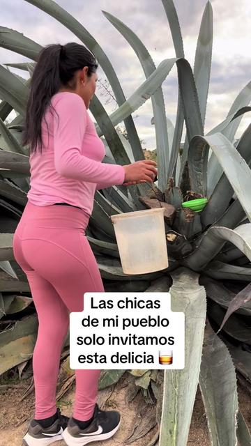 @🦋Silvanitha🌻🇵🇪