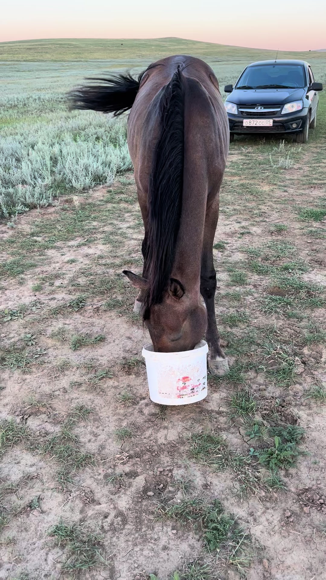 @MakvinStud