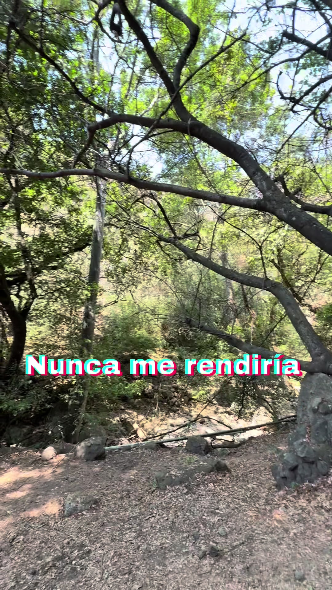 @victorhfitness