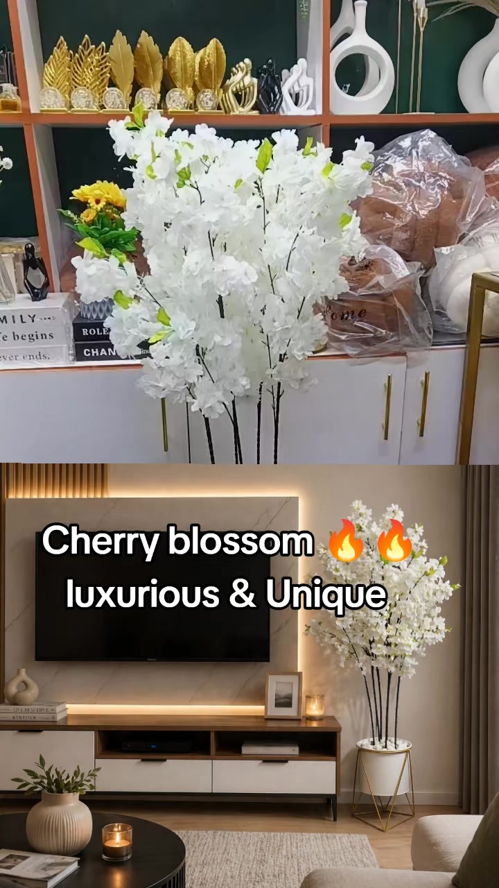 @modernlifestyle interiors