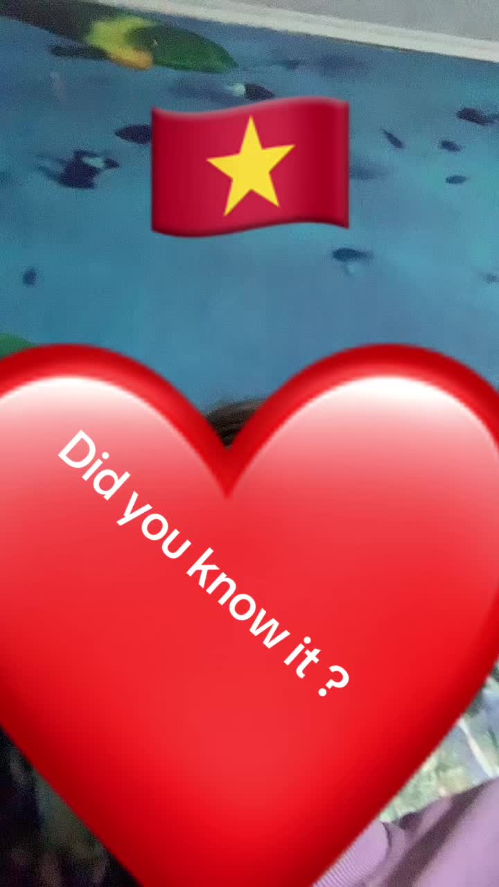 @Mimi ❤️daisy