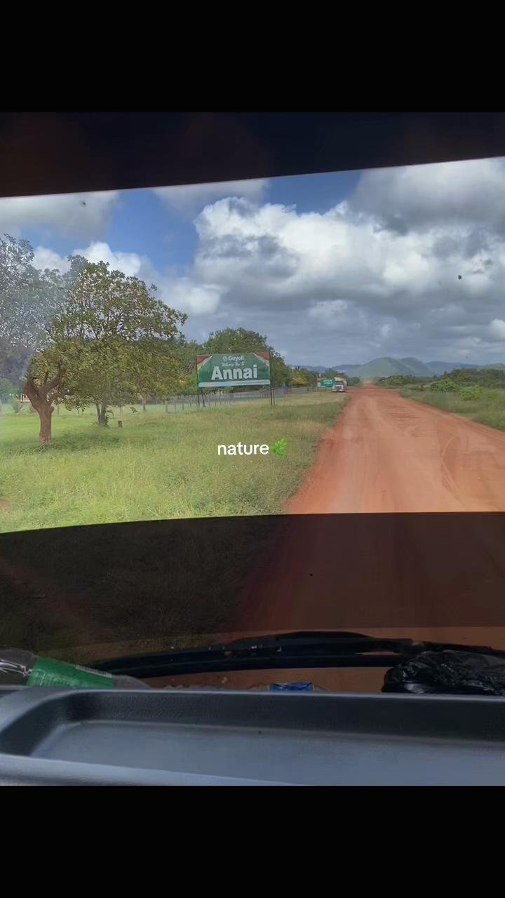 @.🐆 𝒻 𝓁𝓊𝒻𝒻𝓎 🪶🫧.