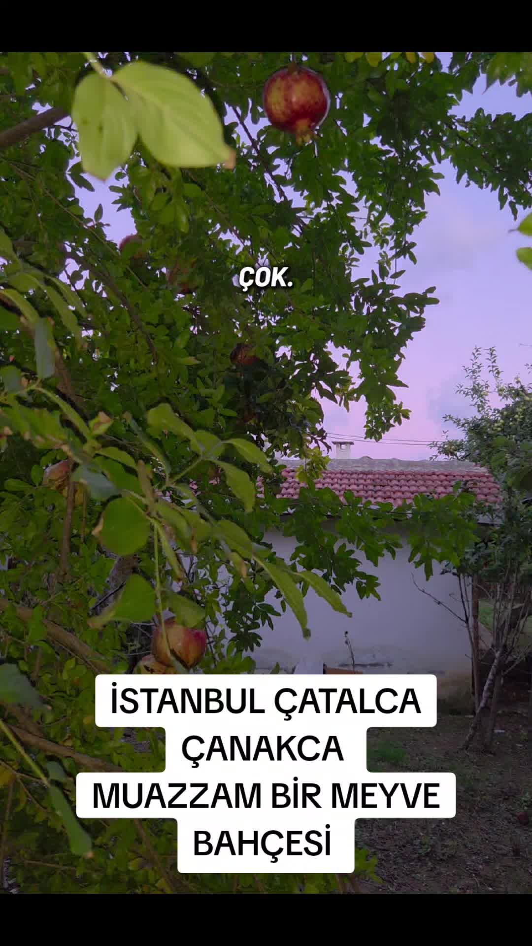 @Satılık Köy Evleri