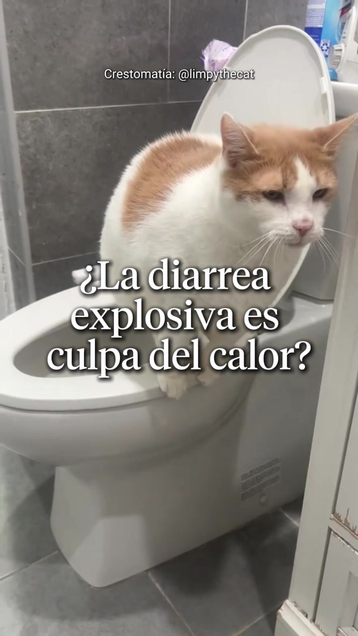 @Ahora Entiendo