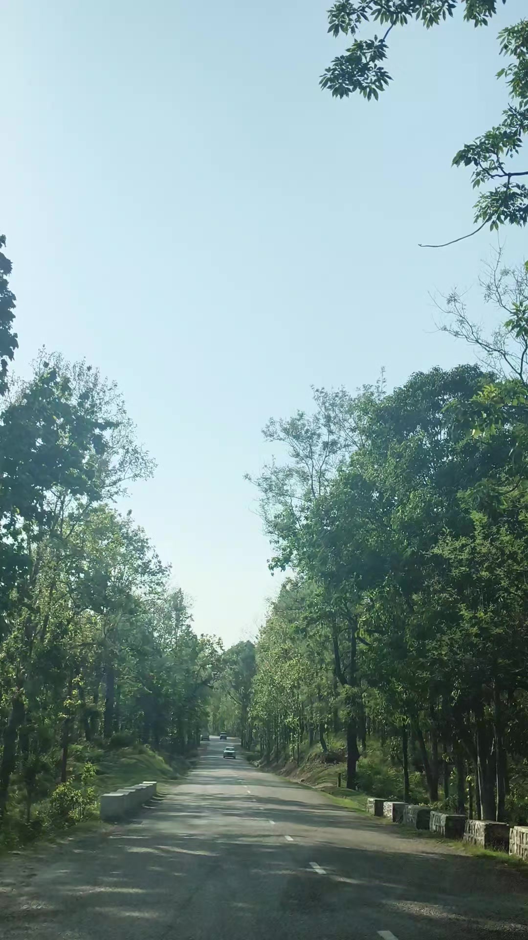 @दाह्री ब्रो   ❣️❣️❣️