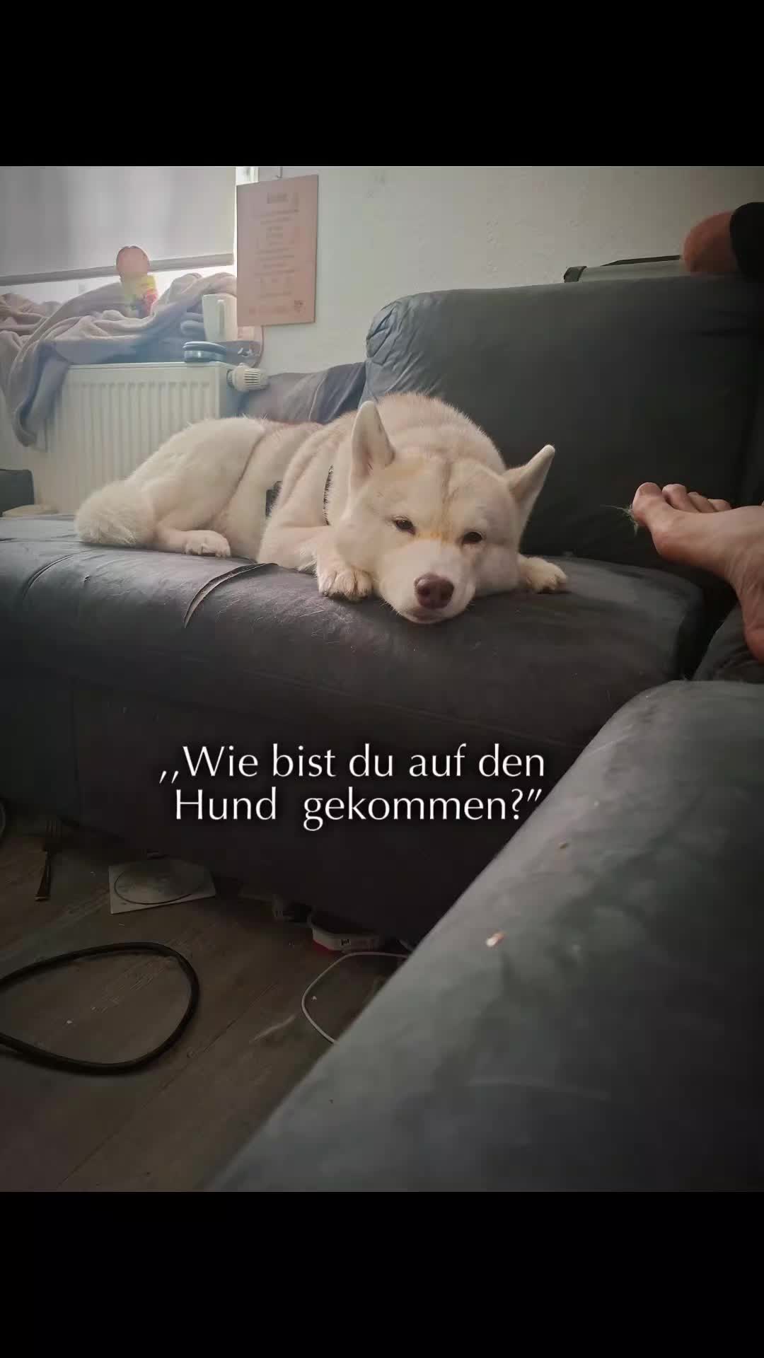 @Snow Qween und Torsten