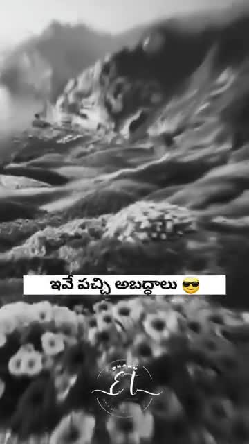 @🇮🇳Sageer Ali
