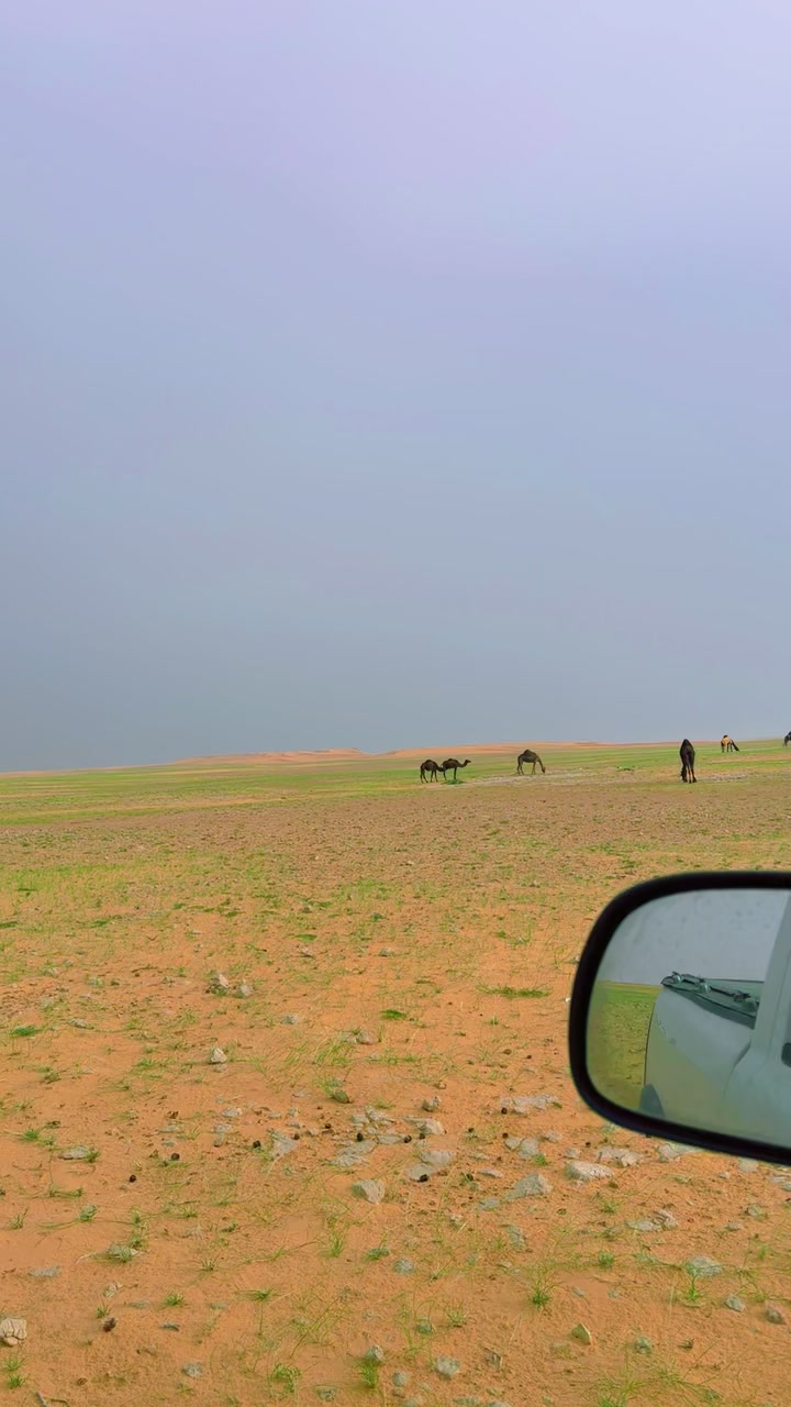 @آلُـِـِِـِِِـِِـِـڊوُڛـ,ـري