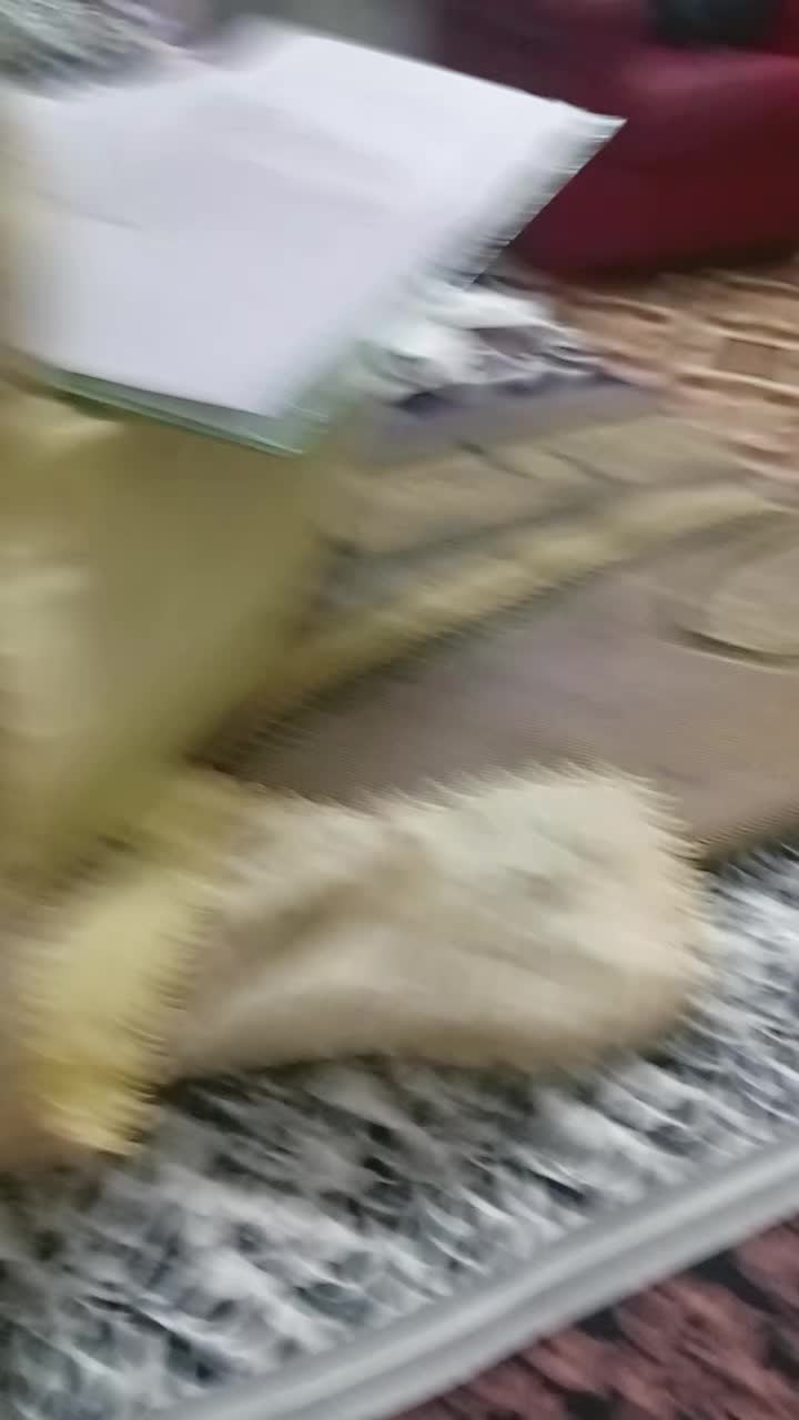 @ZUNERA ZIA