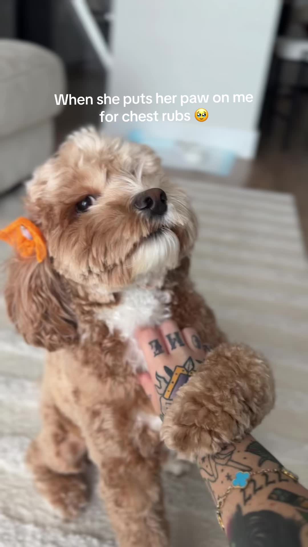 @Omgitslizzzz