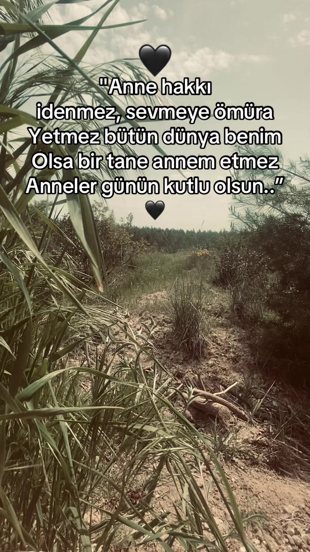 @Seziz adam😞
