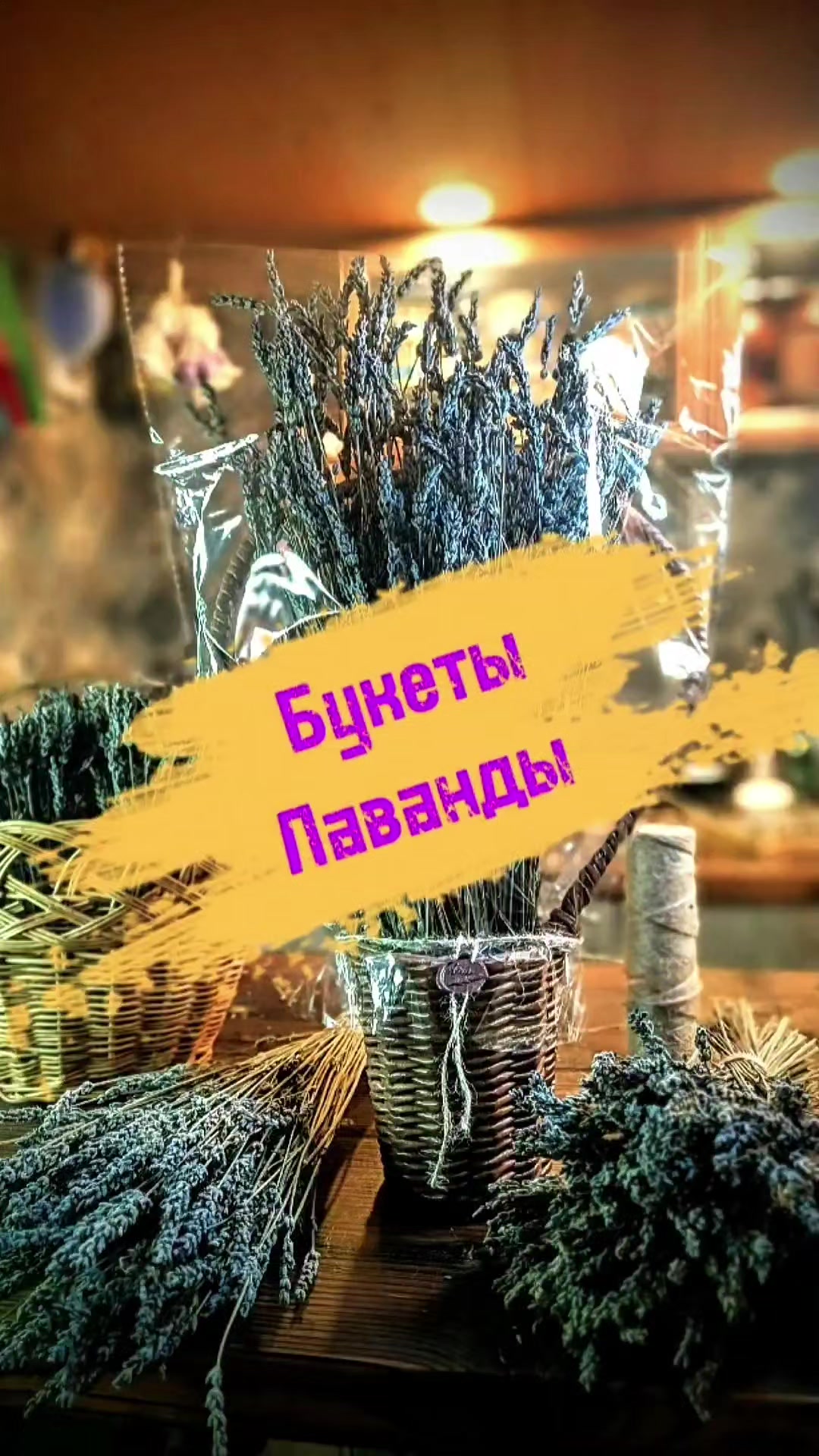 @Aria Lavender