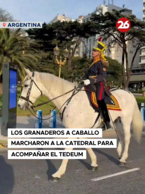 @Canal 26