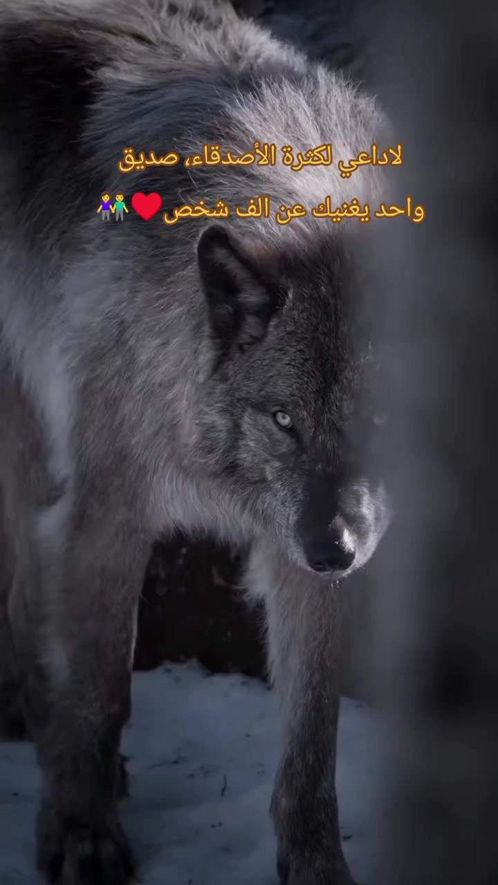 @ولهہـᷠــͣــͪــᷞــͣــᷱــا نہ💔