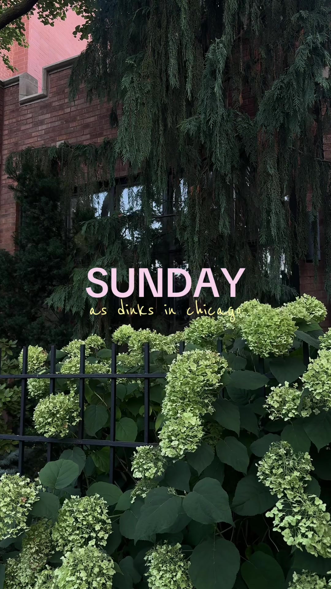 @christie | chicago creator