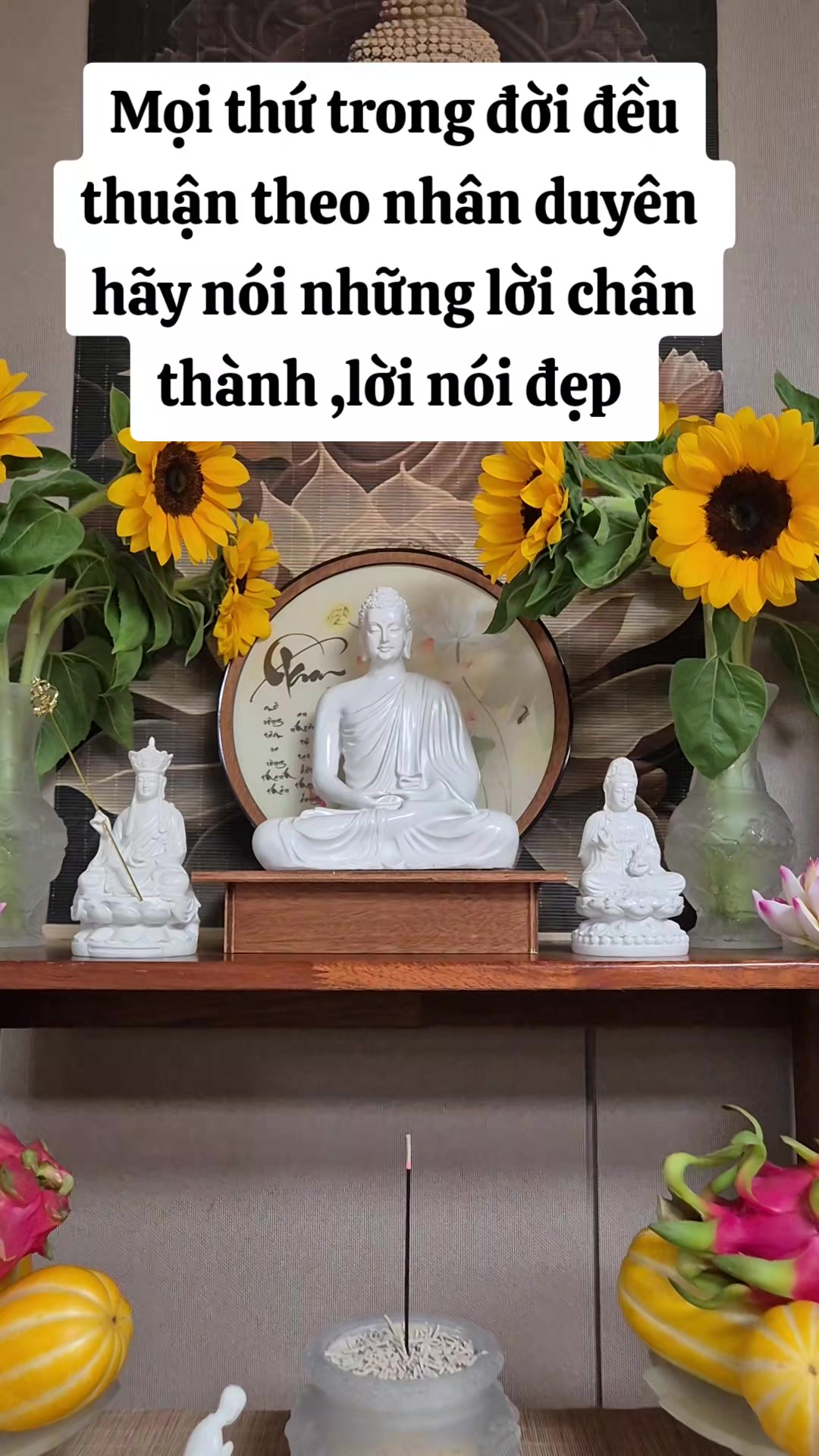 @vu thi tuong (ceohanmeryeo)
