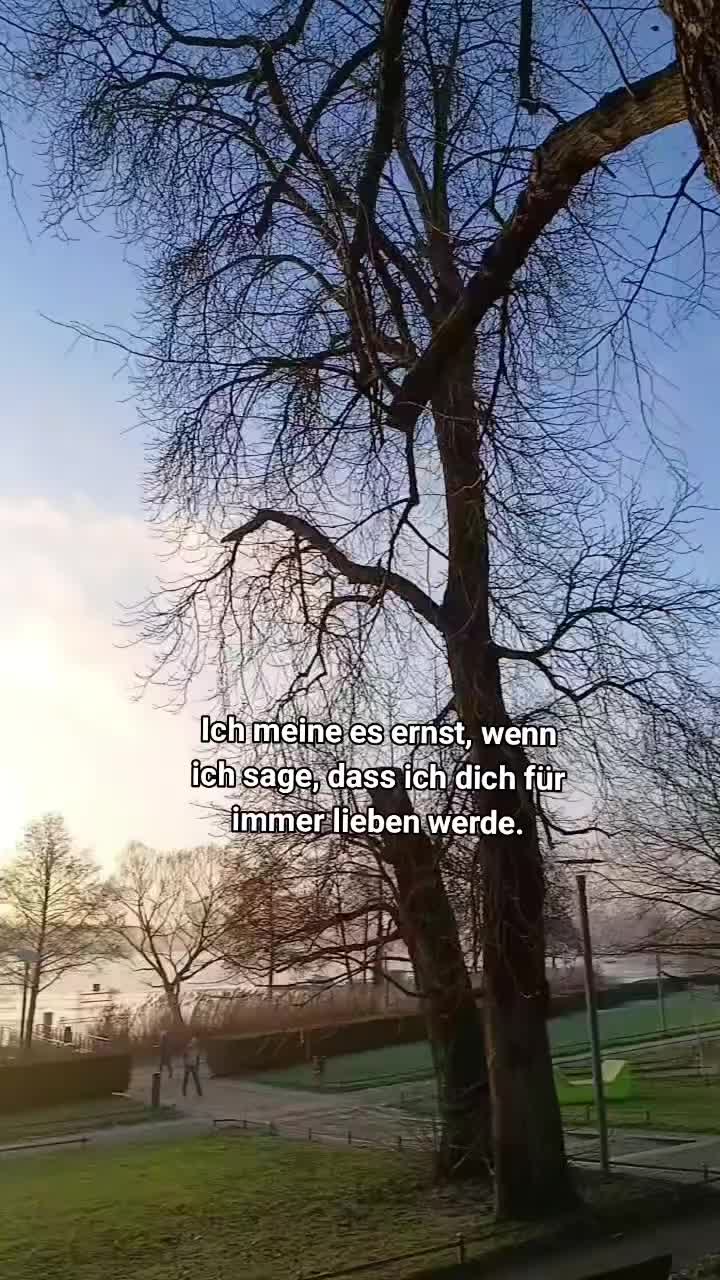 @M_a_x_16866