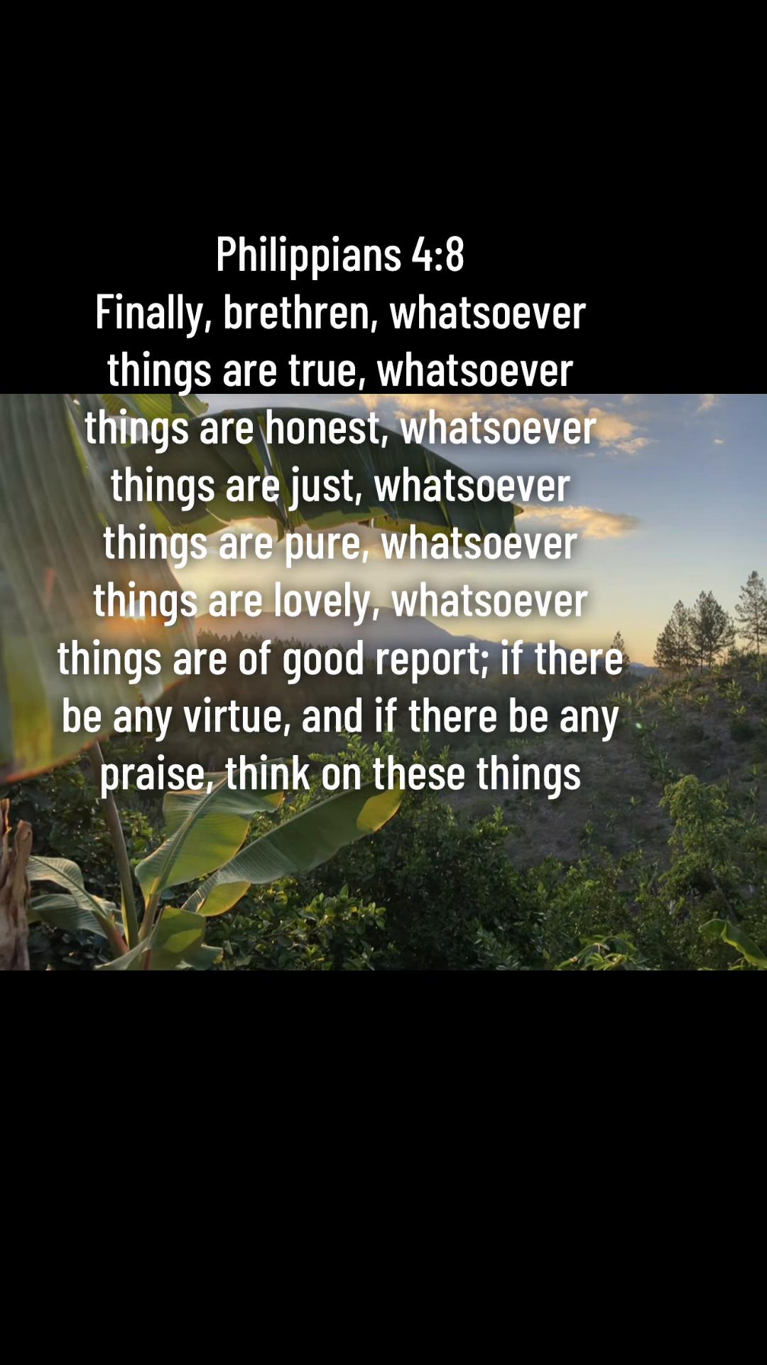 @I&rsquo;m Rose, a Follower Of Christ