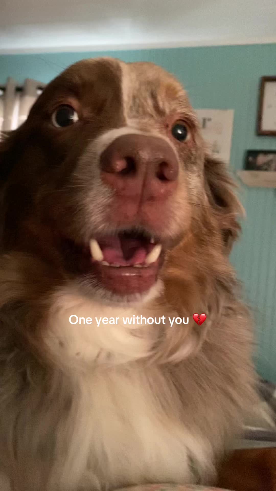 @jess.lucy13