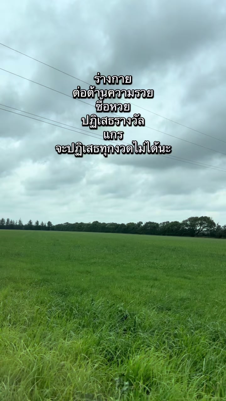 @นุ่มนิ่มเดนมาร์กNB Dk 🇹🇭🇩🇰