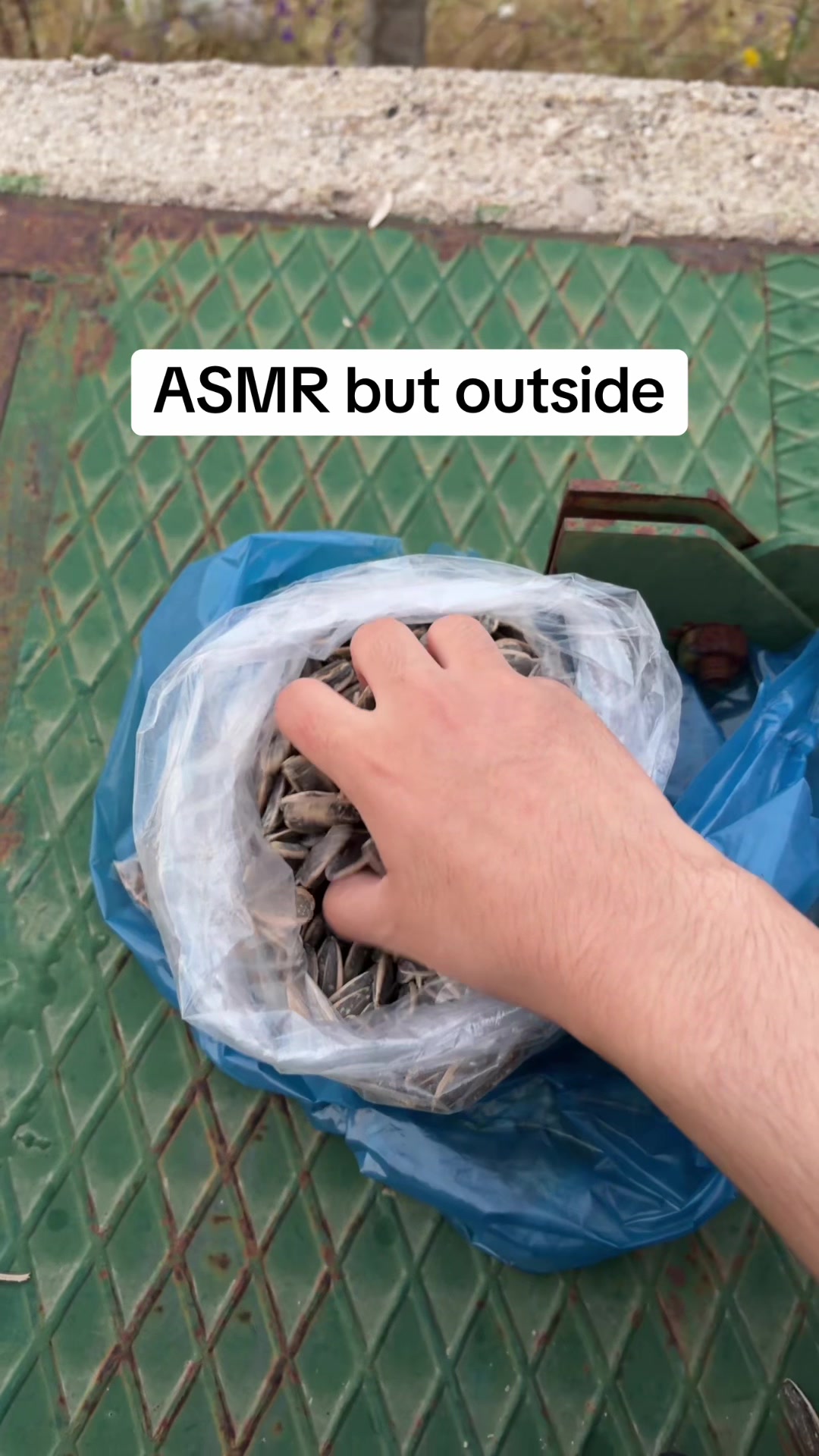 @arda.asmr
