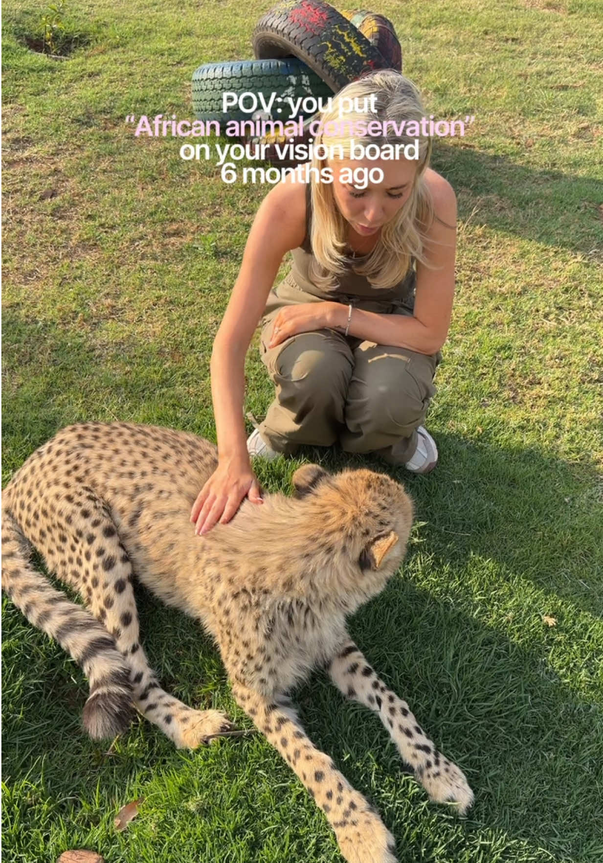 @Tess the Vet Nurse