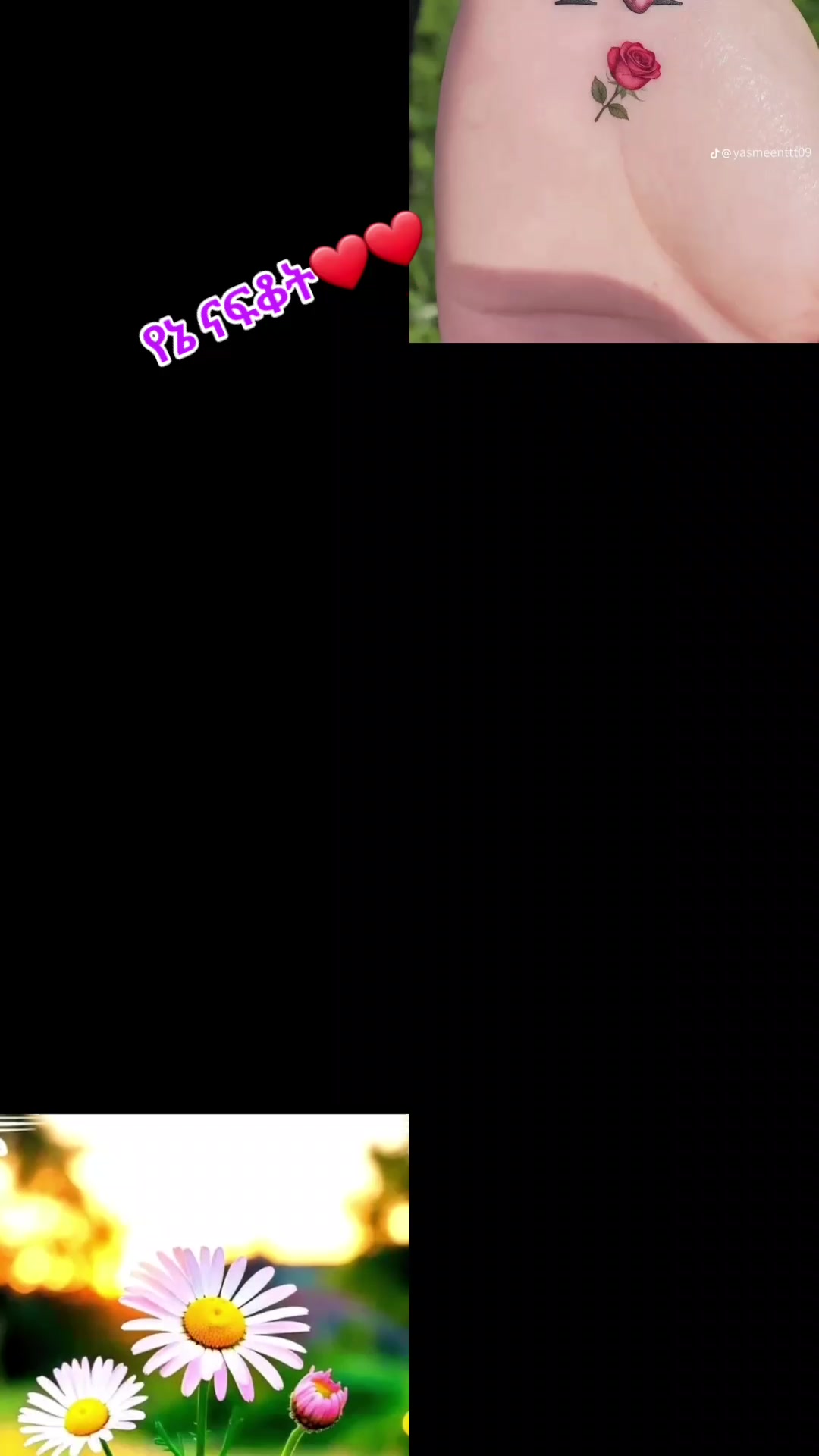 @๐ฆRabi๐ฆแแ
แญ แแแแชแ๐ฆข